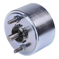 Johnson Electric
