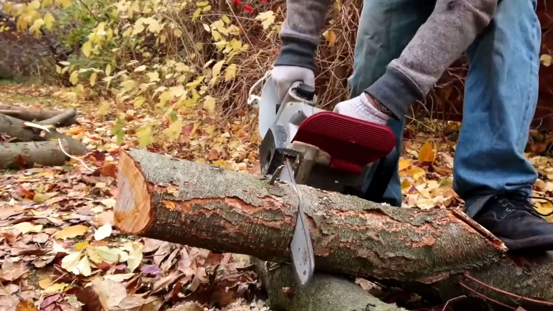 1920x1080_IPG_homepage-banner