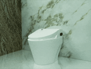 30_Nov_2020_-_Toilet_Seats_Low_Res_GIF