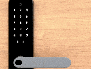 Door_Lock_2022-06-29